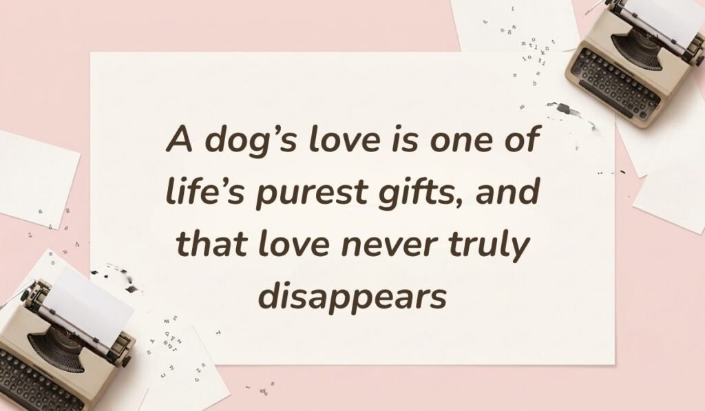 Soft pink desktop layout with vintage typewriters featuring condolences messages for loss of dog reading, "A dog’s love is one of life’s purest gifts, and that love never truly disappears"