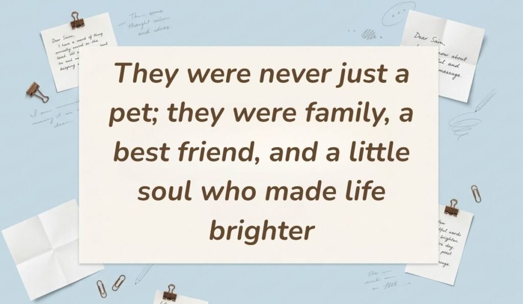 Light blue stationery background with memo notes and clips showing condolences messages for loss of dog reading, "They were never just a pet; they were family, a best friend, and a little soul who made life brighter"