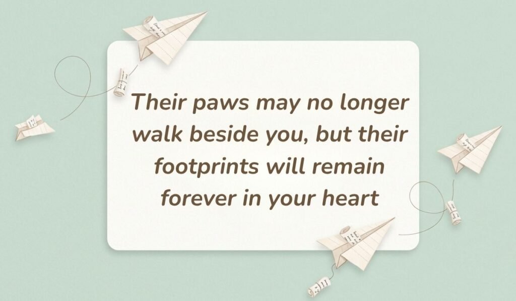 Mint green background with paper airplanes featuring condolences messages for loss of dog reading, "Their paws may no longer walk beside you, but their footprints will remain forever in your heart"