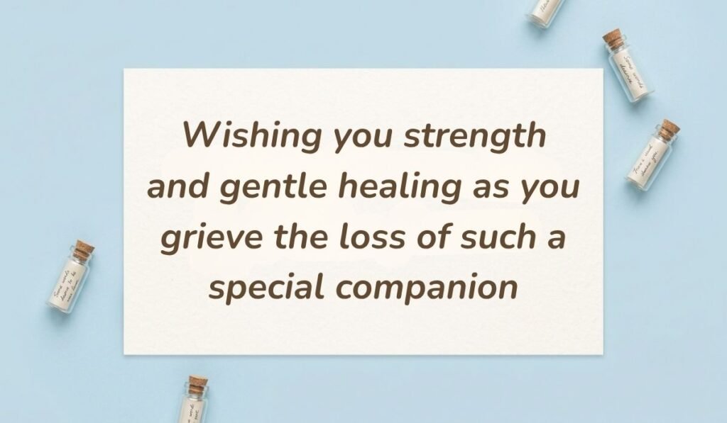 Light blue flat lay with mini glass message bottles showing condolences messages for loss of dog reading, "Wishing you strength and gentle healing as you grieve the loss of such a special companion"