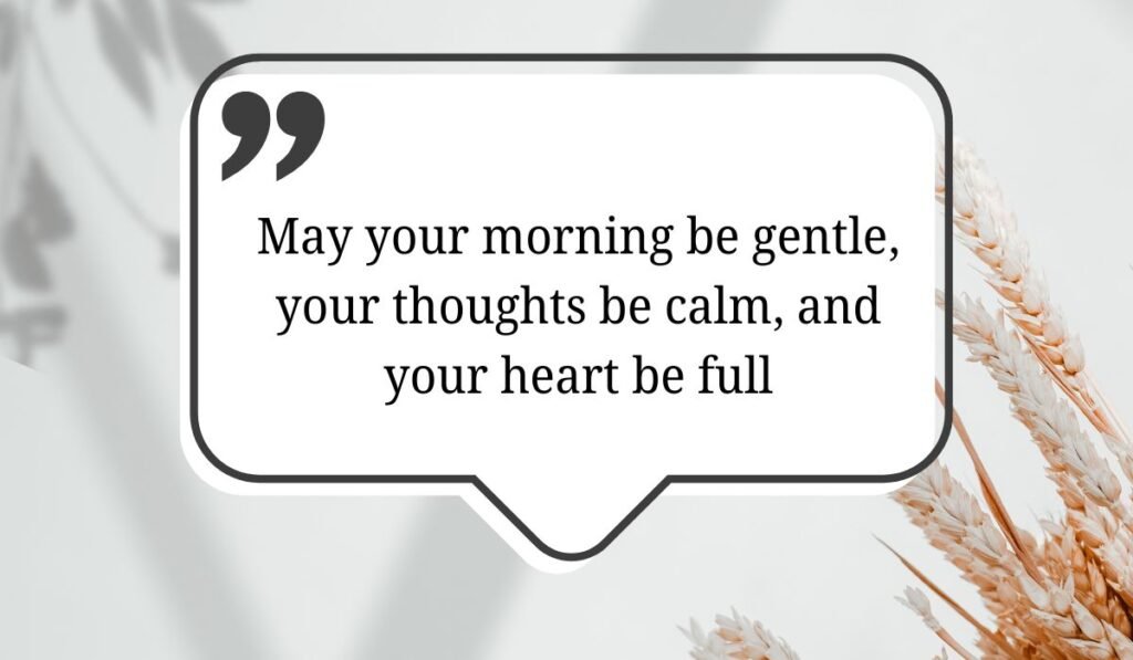 Minimalist white speech bubble box framed by subtle botanical shadows and dried wheat stalks, featuring gentle good morning messages for her: "May your morning be gentle, your thoughts be calm, and your heart be full".