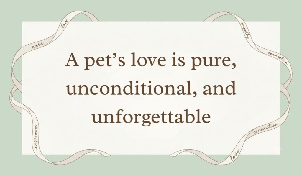 Sage green card layout bordered by decorative ribbons presenting short messages for loss of pet reading, "A pet's love is pure, unconditional, and unforgettable"