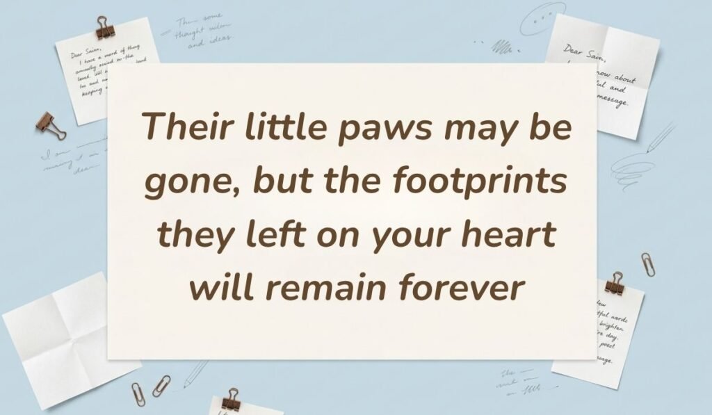 Light blue stationery background with memo notes and clips showing short messages for loss of pet reading, "Their little paws may be gone, but the footprints they left on your heart will remain forever"